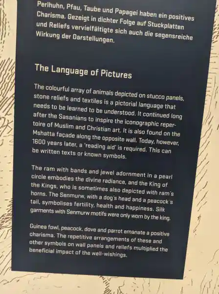 Text, The Language of Pictures